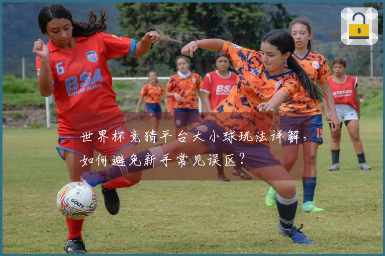 世界杯竞猜平台大小球玩法详解，如何避免新手常见误区？