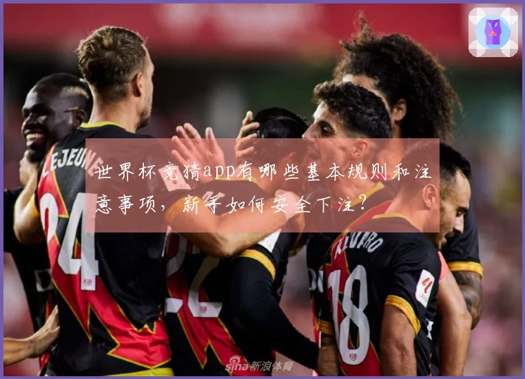 世界杯竞猜app有哪些基本规则和注意事项，新手如何安全下注？