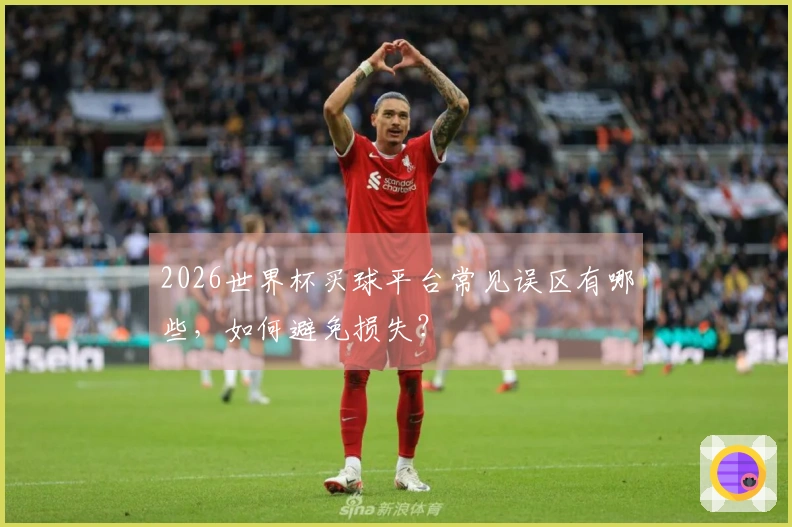 2026世界杯买球平台常见误区有哪些，如何避免损失？