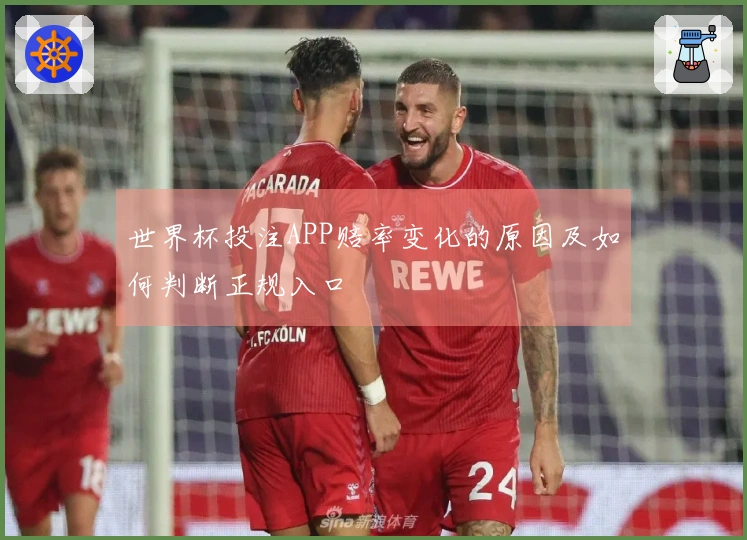 世界杯投注APP赔率变化的原因及如何判断正规入口