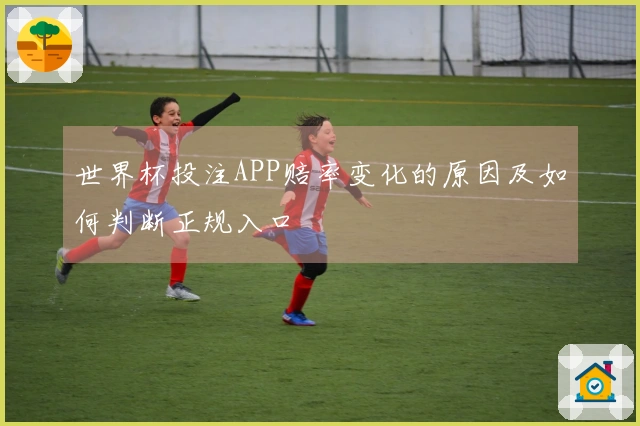 世界杯投注APP赔率变化的原因及如何判断正规入口