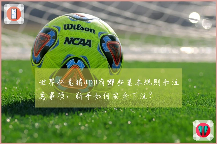 世界杯竞猜app有哪些基本规则和注意事项，新手如何安全下注？